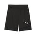 Puma Team Final Training Shorts in black