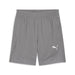 A pair of Puma Team Final training shorts in grey colour with the Puma logo visible on the right leg.