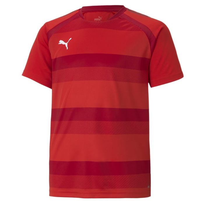 Puma Team Vision Short Sleeve Shirt