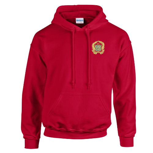 Ruts Youth Red Hoodie — KitKing