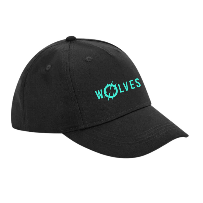 OWB 5 Panel Cap 1