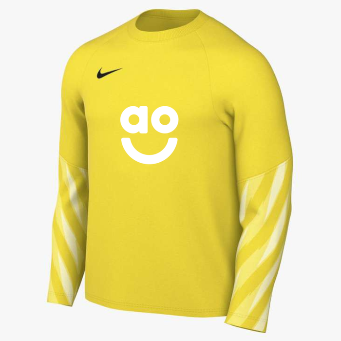AO Park V Goalkeeper Shirt