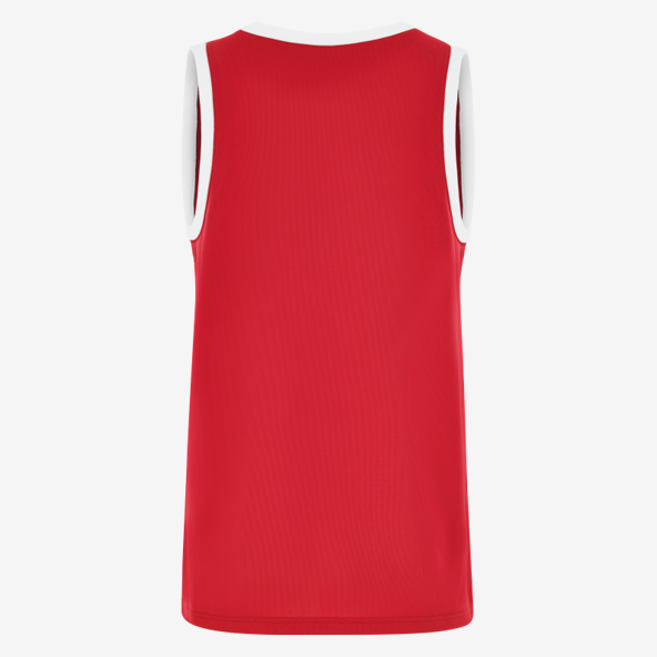 Nike TEAM 25 Basketball Jersey in red