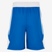 Blue athletic shorts with white accents on a white background