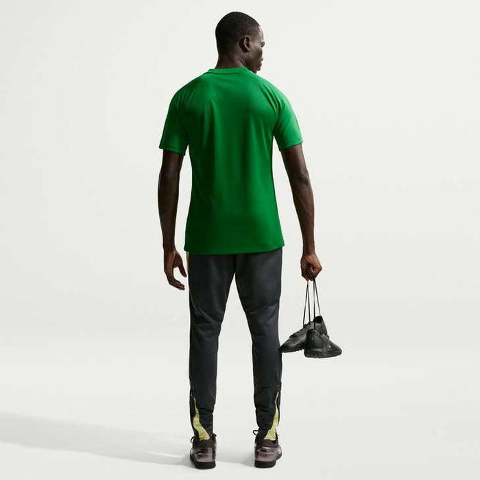 Nike Dri-Fit Park VIII Short Sleeve Shirt in pine green