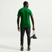 Nike Dri-Fit Park VIII Short Sleeve Shirt in pine green