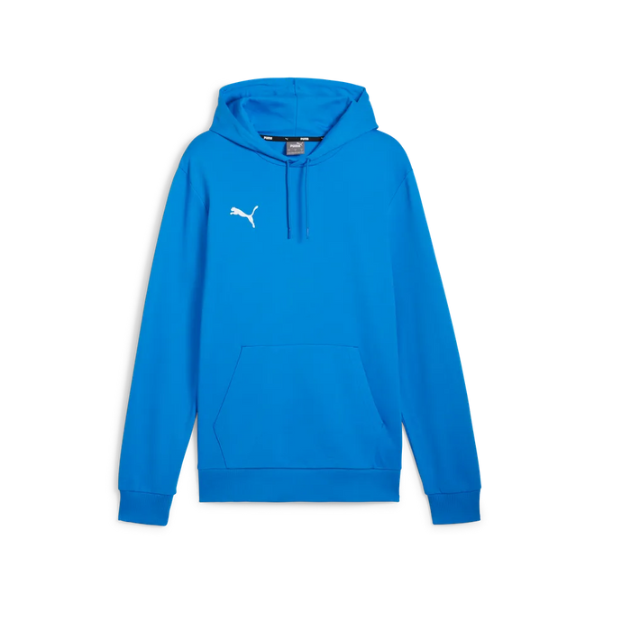 Puma teamGOAL Casuals Hoody