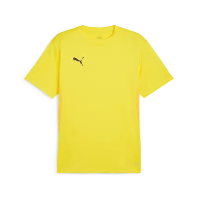 Puma TeamGOAL Jersey
