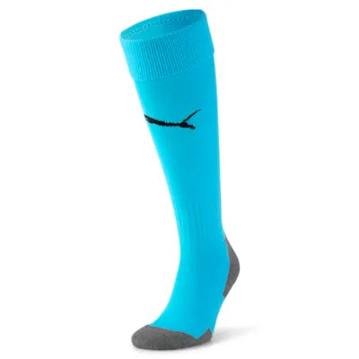 Puma TeamLIGA Socks Core