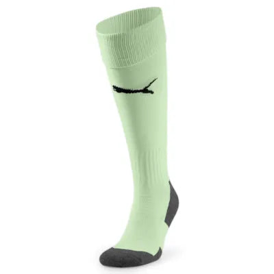 Puma TeamLIGA Socks Core