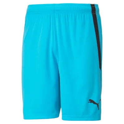 Puma TeamLIGA 25 Shorts