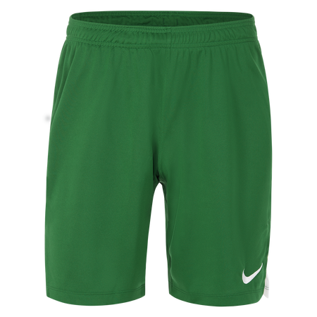 Nike Team Spike Volleyball Shorts