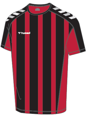 Hummel Hmlelite Stripe Jersey Short Sleeve