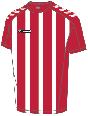 Hummel Hmlelite Stripe Jersey Short Sleeve