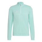 Adidas Entrada 22 Training Top in Clear Mint