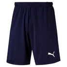 Puma Liga Training Shorts in peacoat