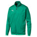 Puma Liga Training Jacket in pepper green