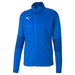 Puma TeamFINAL Training Jacket in blue