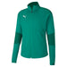 Puma TeamFINAL Training Jacket in green