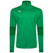 Puma TeamFINAL Training Jacket in green