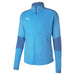 Puma TeamFINAL Training Jacket in sky blue