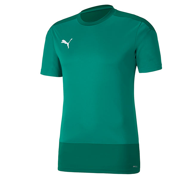 Puma TeamGOAL Training Shirt