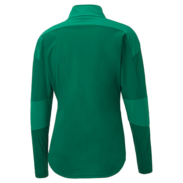 Puma TeamFINAL Sideline Jacket in green