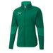 Puma TeamFINAL Sideline Jacket in green