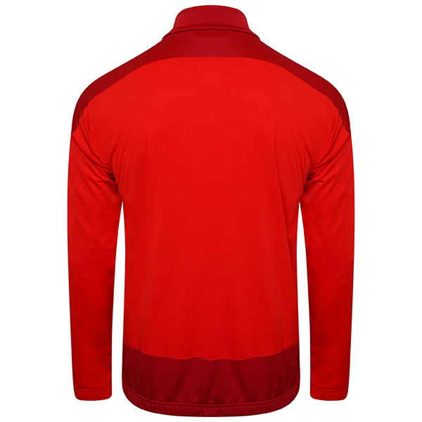 Puma TeamGOAL Training Jacket