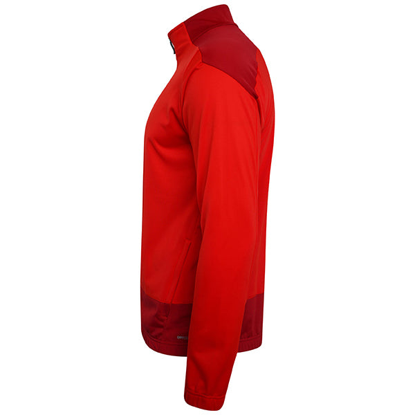Puma TeamGOAL Training Jacket
