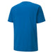 Puma TeamGOAL Casuals Tee in blue