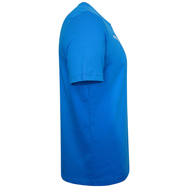 Puma TeamGOAL Casuals Tee in blue