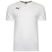 Puma TeamGOAL Casuals Tee in white