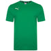 Puma TeamGOAL Casuals Tee in green