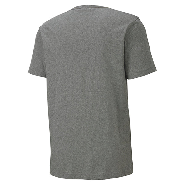 Puma TeamGOAL Casuals Tee in grey