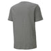 Puma TeamGOAL Casuals Tee in grey