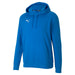 Puma TeamGOAL Casuals Hoodie in blue