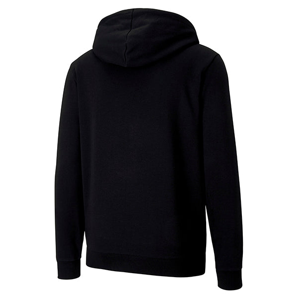 Puma TeamGOAL Casuals Hooded Jacket in black