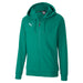 Puma TeamGOAL Casuals Hooded Jacket in green