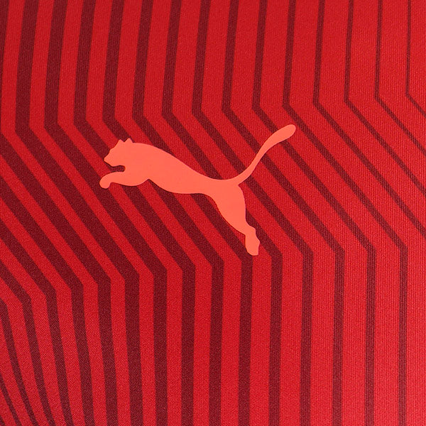 Puma TeamCUP Graphic Training Shirt 21