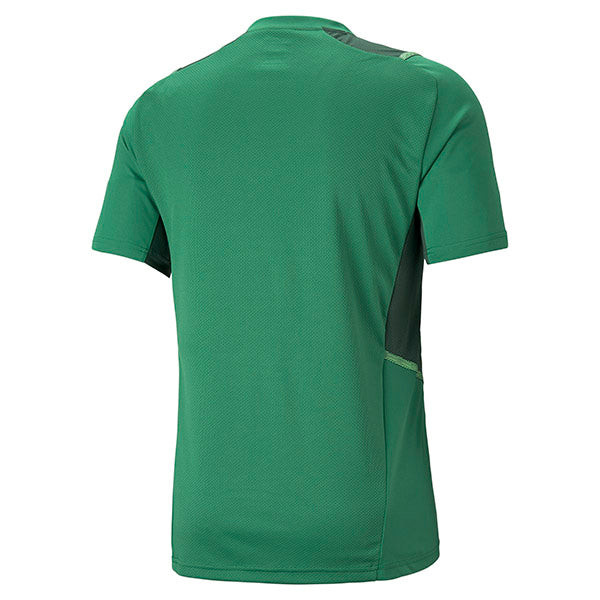 Puma TeamCUP Graphic Training Shirt 21