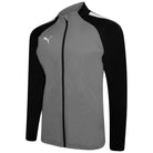 Puma Team Liga 25 Training Jacket in smoked pearl