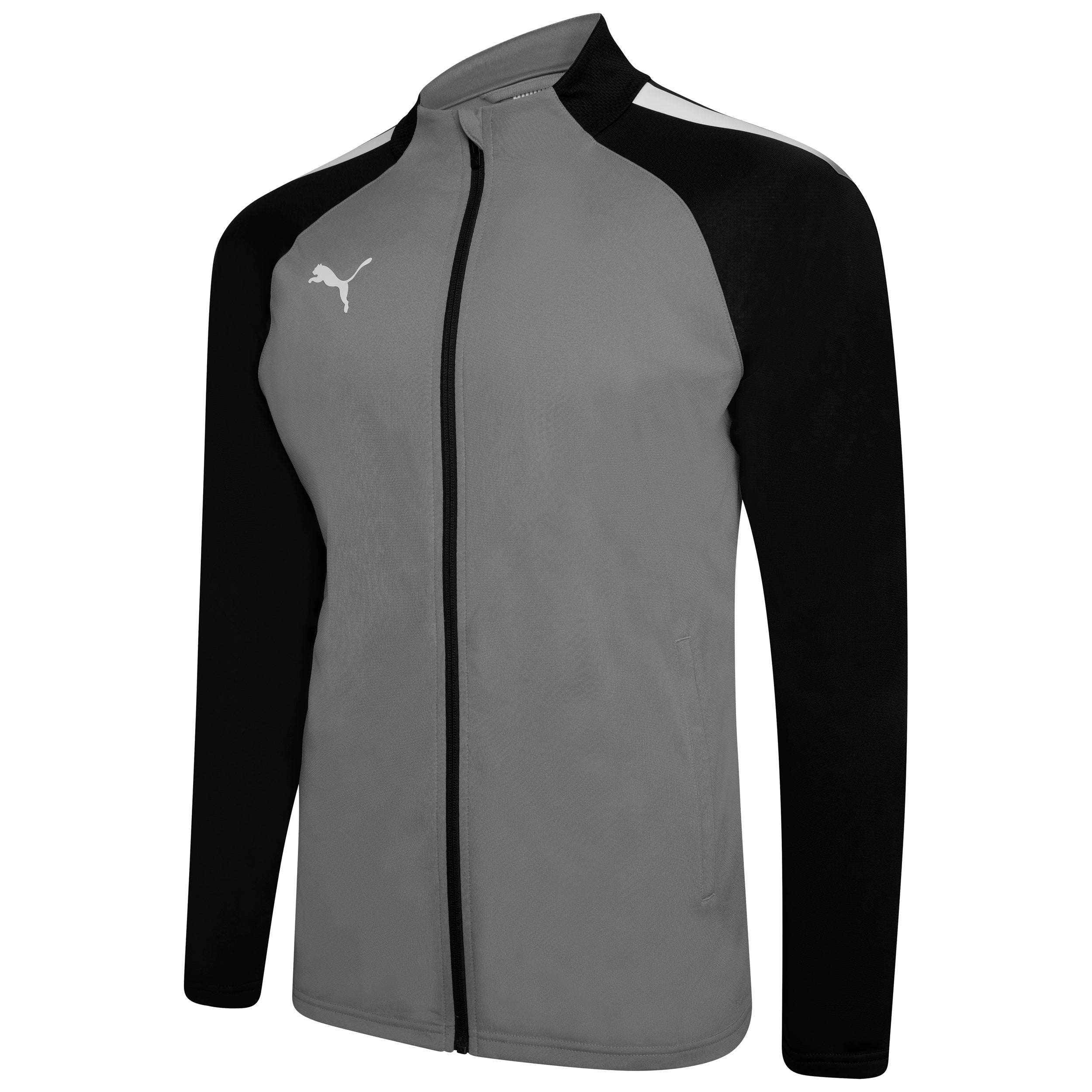 Puma Team Liga 25 Training Jacket in smoked pearl