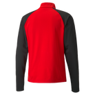 back of Puma Team Liga 25 Training 1/4 Zip Top in red