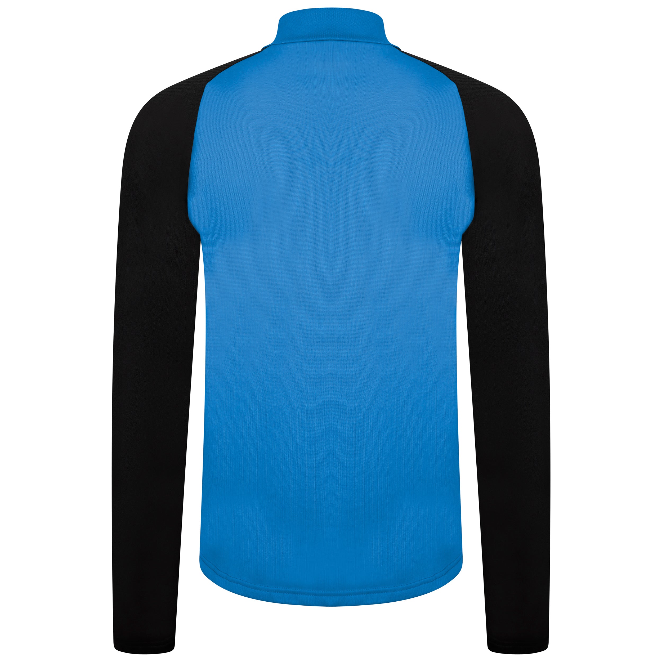 back of Puma Team Liga 25 Training 1/4 Zip in electric blue lemonade