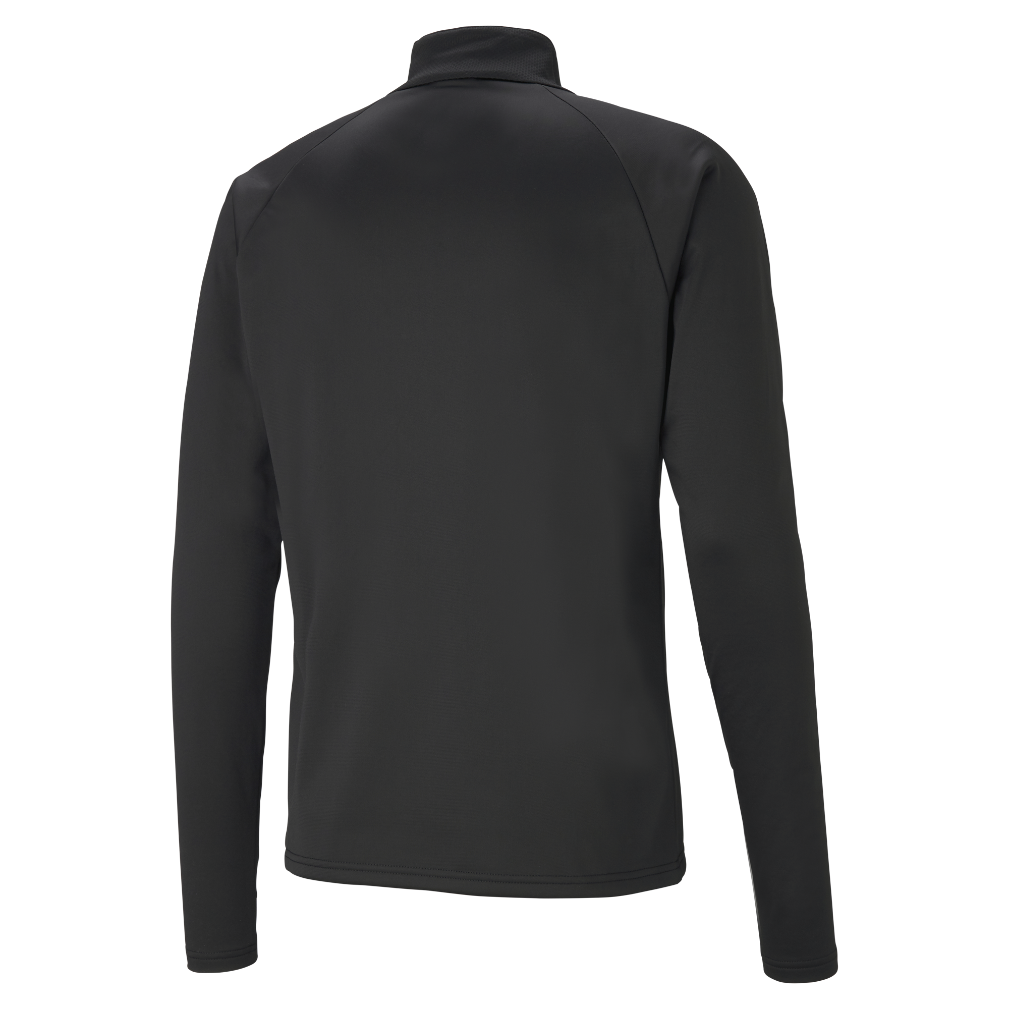 back of Puma Team Liga 25 Training 1/4 Zip Top in black