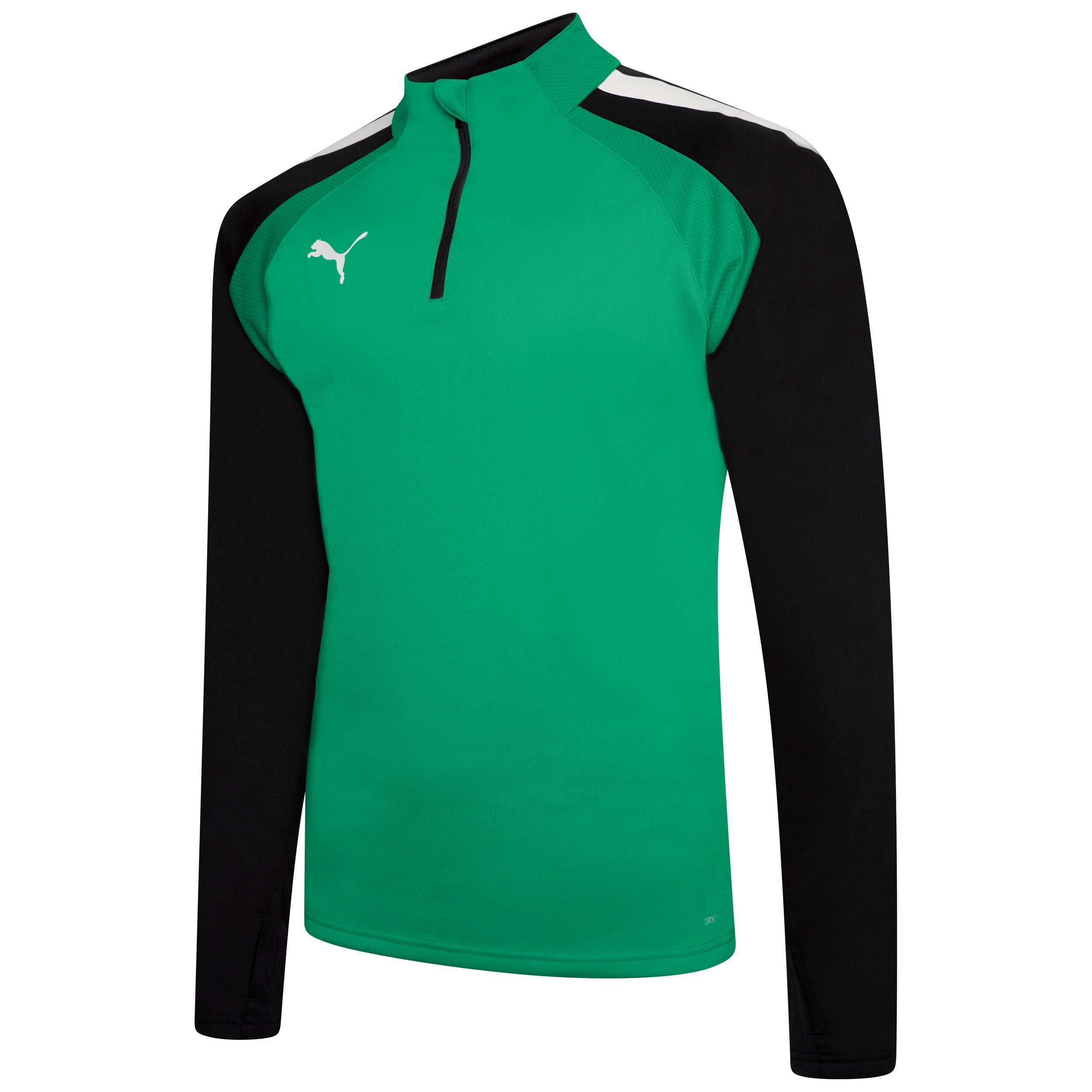 Puma Team Liga 25 Training 1/4 Zip Top in pepper green