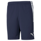 Puma Team Liga 25 Training Shorts in peacoat