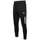 Puma Team Liga 25 Training Pro Pants in black