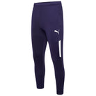 Puma Team Liga 25 Training Pro Pants in peacoat